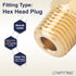 LTWFITTING Brass BSP Pipe Hex Head Plug Fittings 1/4-Inch Male BSPP Air Fuel Water Boat (Pack of 5)