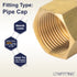 LTWFITTING Brass BSP Pipe Cap Fittings 3/4-Inch BSPP Air Fuel Water Boat (Pack of 5)