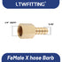 LTWFITTING Brass BSP Fitting Coupler/Adapter 1/4-Inch Female BSPP x 5/16-Inch(8mm) Hose Barb Fuel Gas Water (Pack of 5)