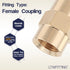 LTWFITTING Brass BSP Pipe Fitting 1/8-Inch Female BSPP Coupling Water Boat (Pack of 5)