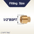 LTWFITTING Brass Pipe Square Head Plug Fittings 1/2 Male BSPT Air Fuel Water Boat (Pack of 400)