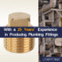 LTWFITTING Brass Pipe Square Head Plug Fittings 1/2 Male BSPT Air Fuel Water Boat (Pack of 400)