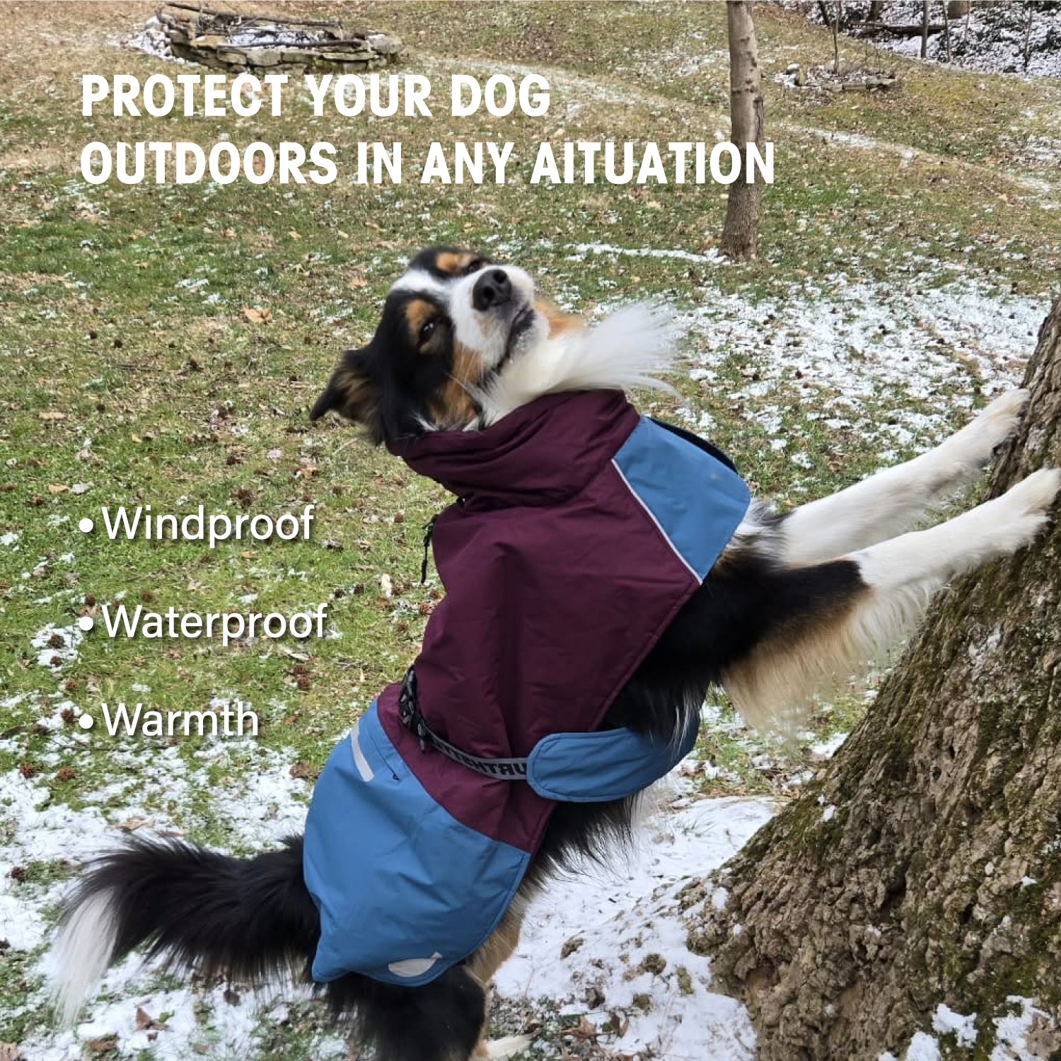 IFOURTHSTYLE  Dog Winter Outdoor Jacket Warm & Waterproof