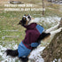 IFOURTHSTYLE  Dog Winter Outdoor Jacket Warm & Waterproof