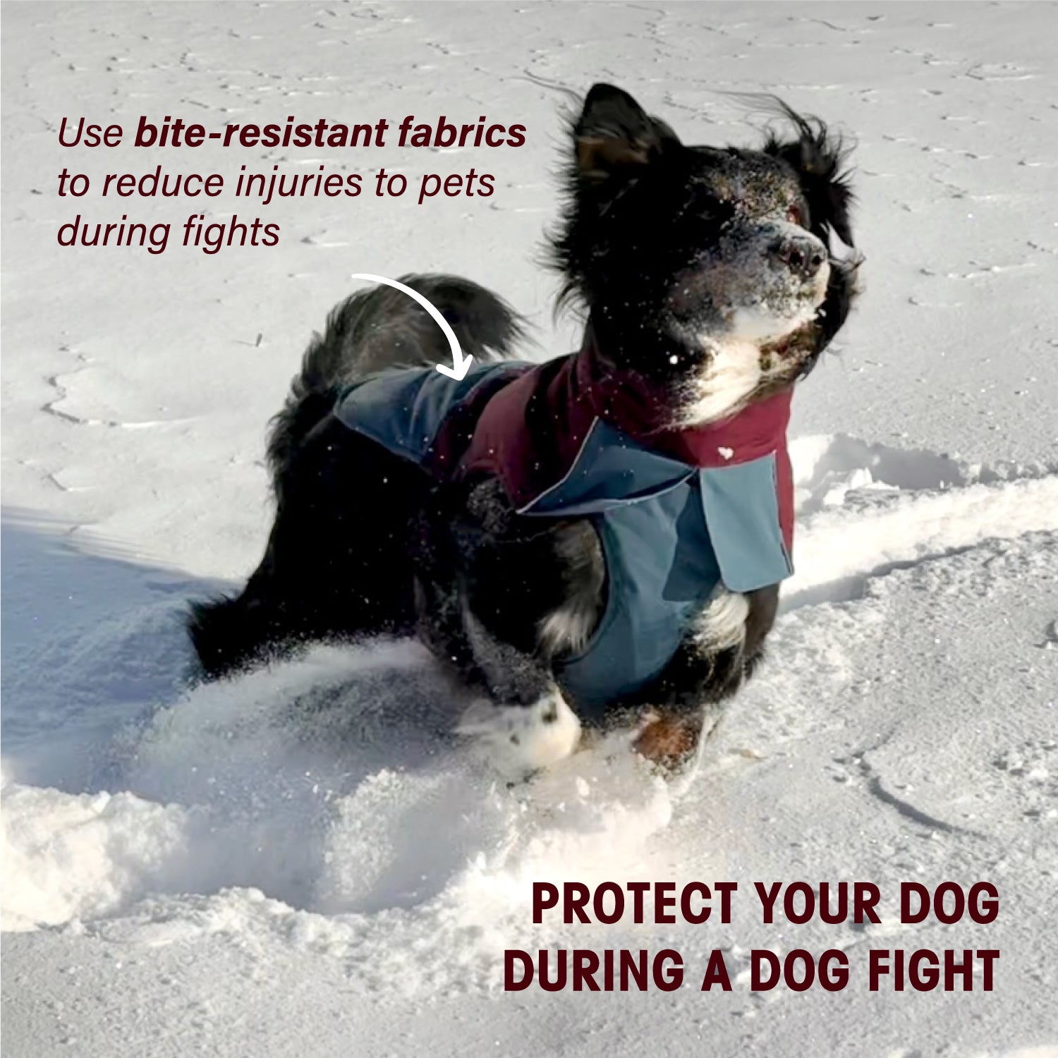 IFOURTHSTYLE  Dog Winter Outdoor Jacket Warm & Waterproof