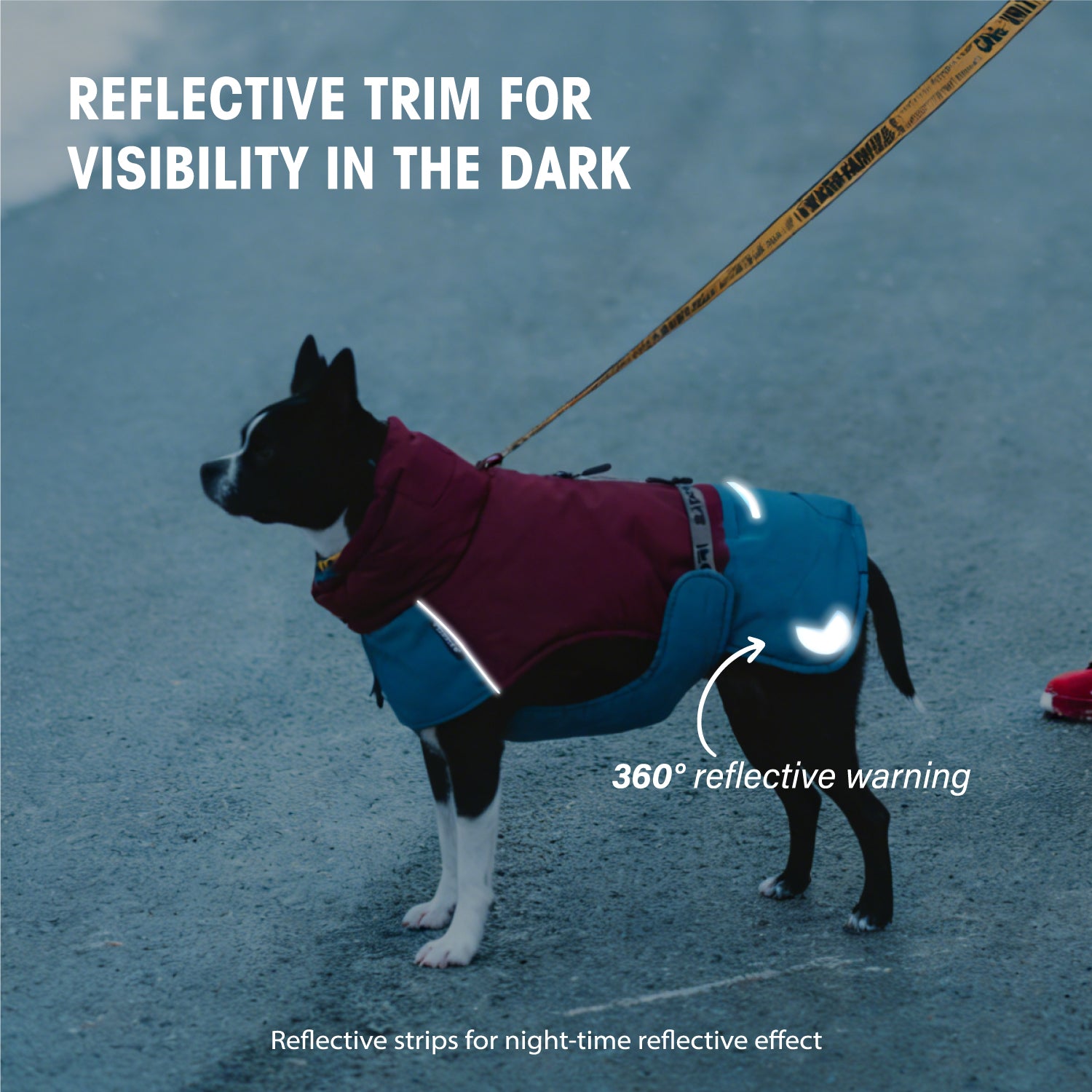 IFOURTHSTYLE  Dog Winter Outdoor Jacket Warm & Waterproof