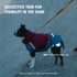 IFOURTHSTYLE  Dog Winter Outdoor Jacket Warm & Waterproof