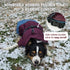 IFOURTHSTYLE  Dog Winter Outdoor Jacket Warm & Waterproof