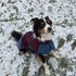 IFOURTHSTYLE  Dog Winter Outdoor Jacket Warm & Waterproof
