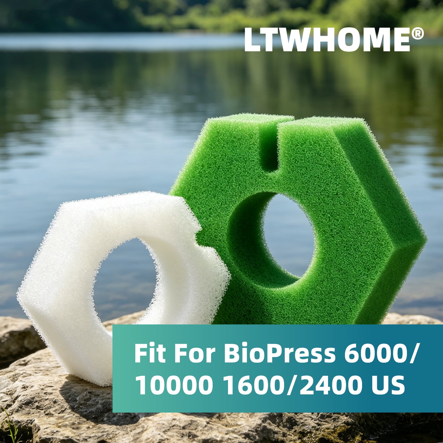 LTWHOME Foam Set Replacement for Oase BioPress 6000/10000 1600/2400 US (Pack of 8)