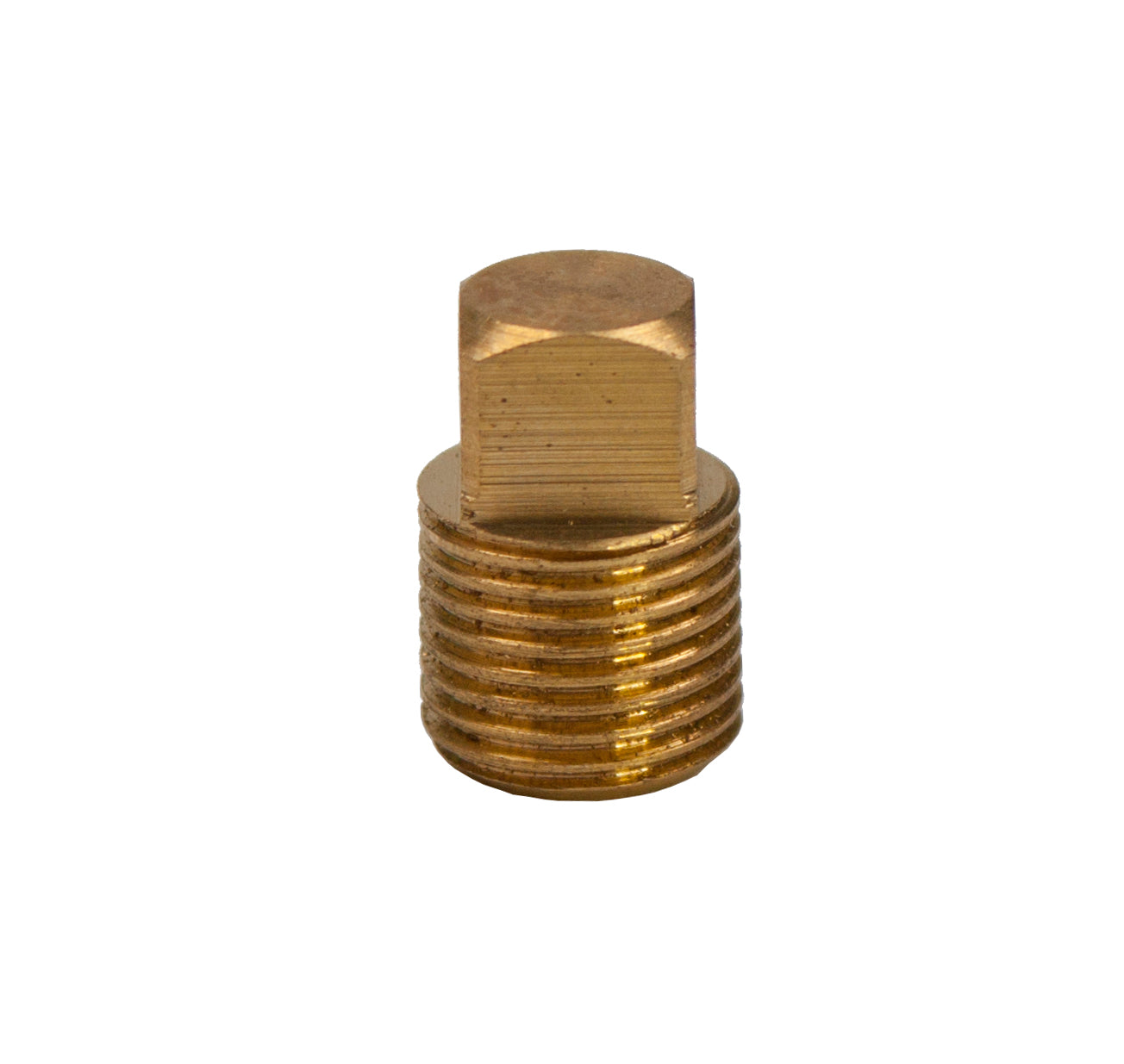 LTWFITTING Brass BSP Pipe Square Head Plug Fittings 1/8-Inch Male BSPP Air Fuel Water Boat (Pack of 5)