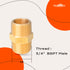 LTWFITTING Assortment Kit 1/8-Inch 1/4-Inch 3/8-Inch 1/2-Inch 3/4-Inch Male BSPT Brass Pipe Hex Nipple Set (Pack of 37)